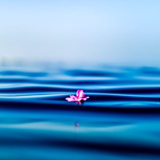 Everything You Want to Know About Acceptance and Commitment Therapy