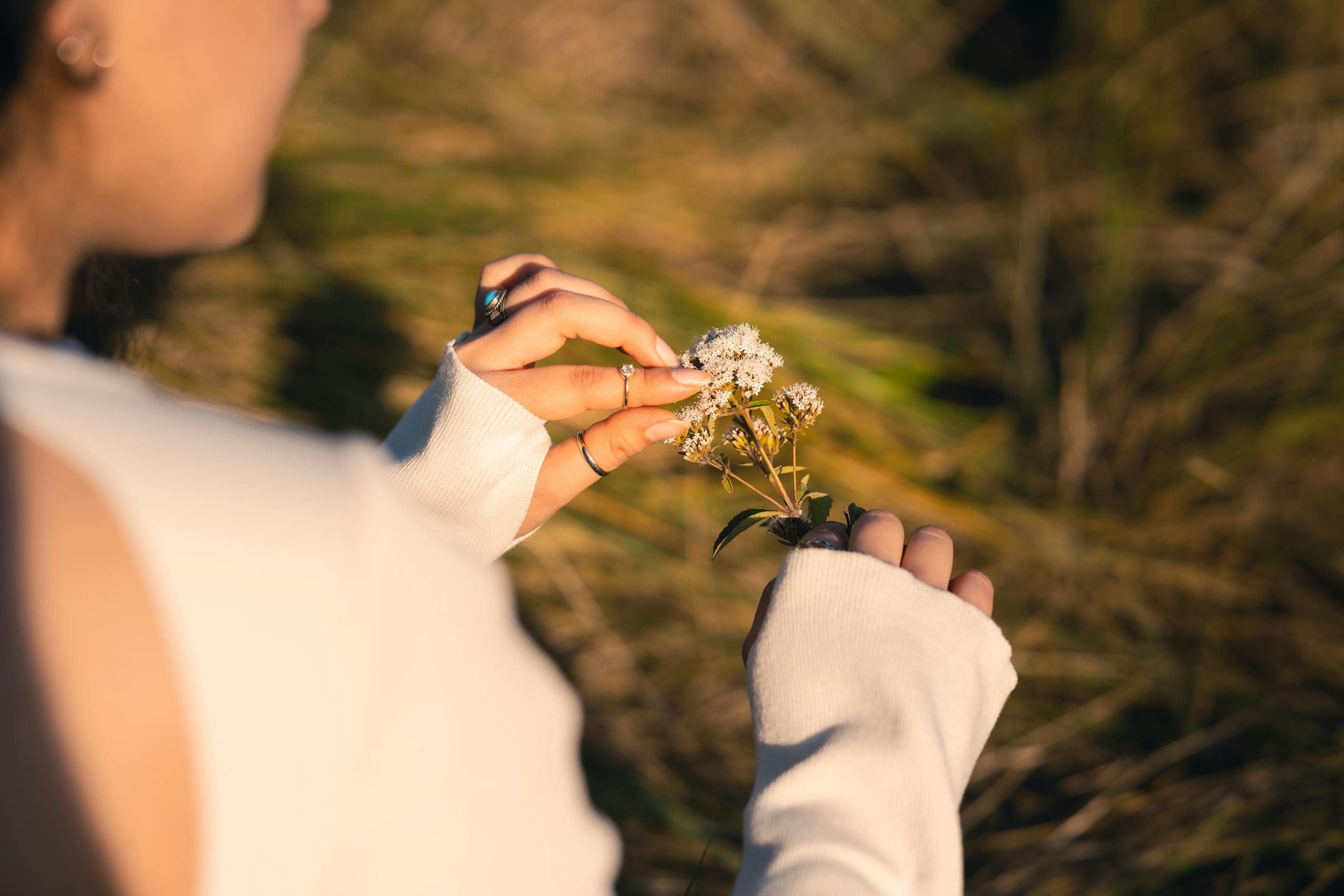 A woman gently holds wildflowers in her hands during a sunlit day outdoors.
