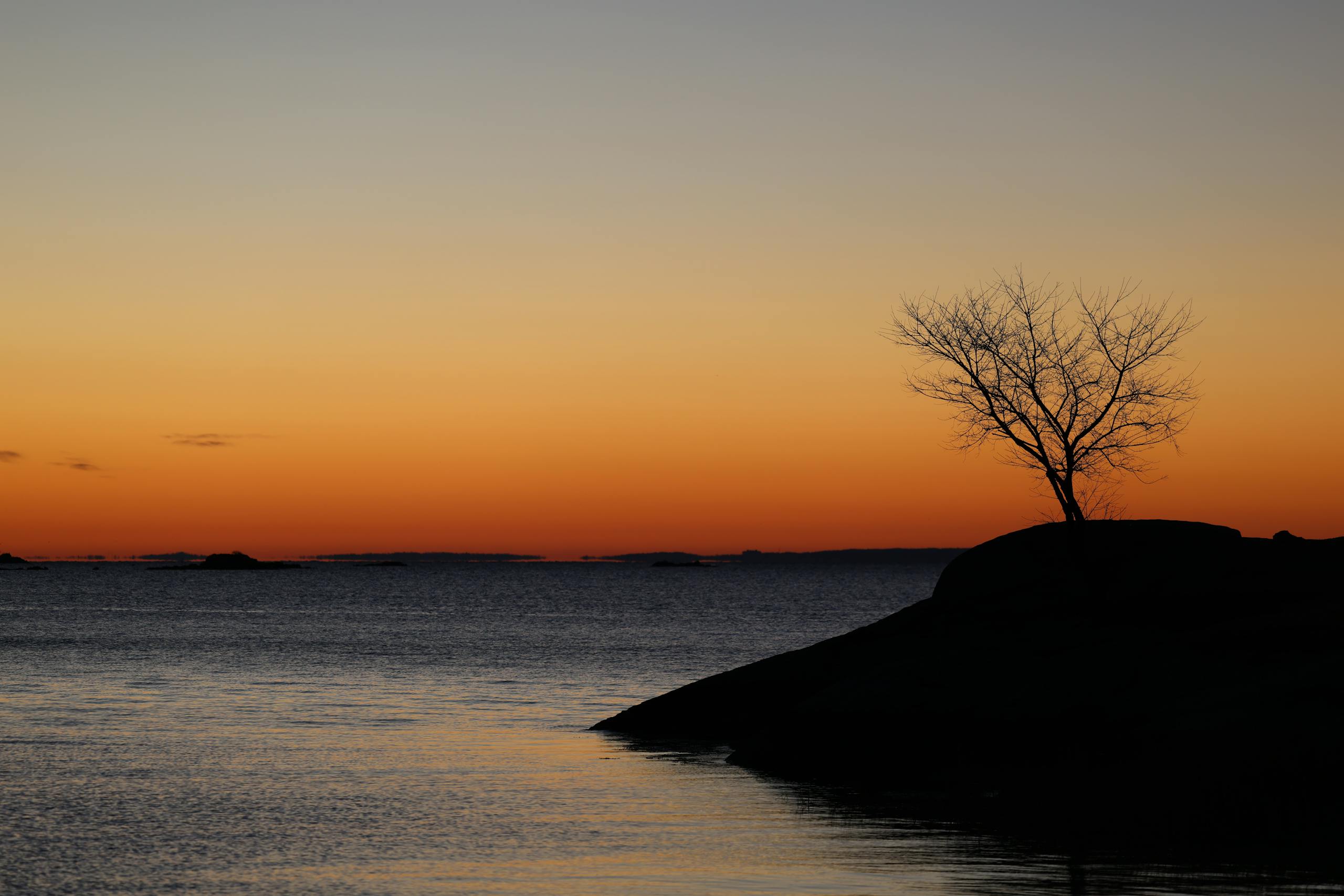 Free stock photo of autumn, autumn colors, cove island park